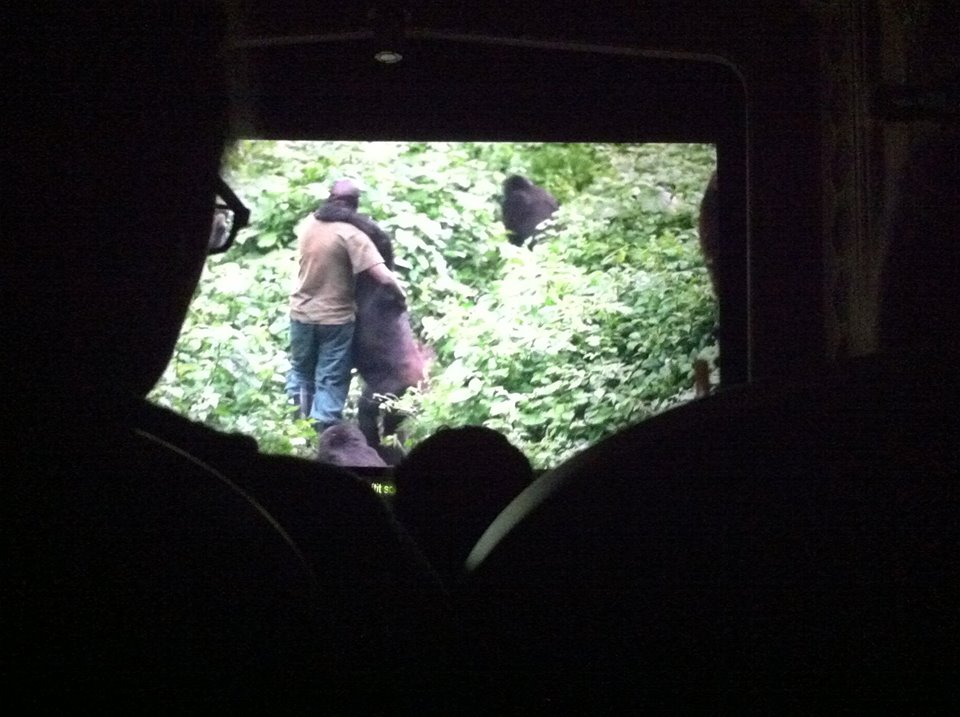 Virunga film, Andre Bauma prowadzi sieroty goryli